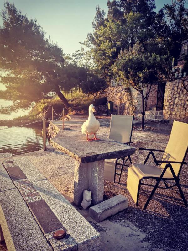 Kamenito Kruševo Buitenkant foto